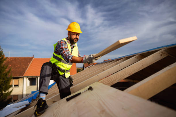 Best Roof Moss and Algae Removal  in Paden City, WV